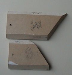 Photo of two crownbacks.